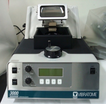 �r�u���g�[���@VIB 3000(Vibratome) �@3F